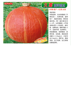 久栗【西洋南瓜】