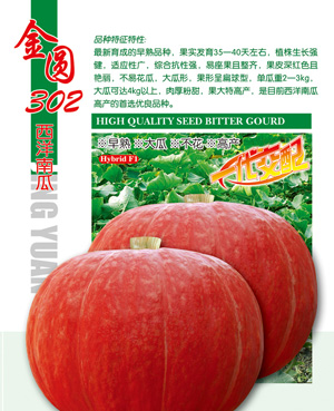 金圆302