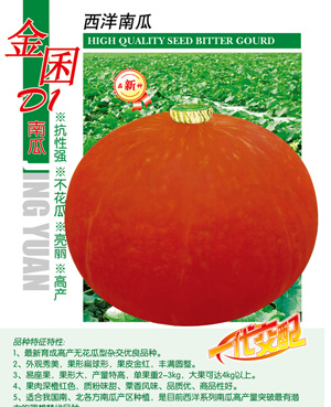 金囷D1【南瓜】