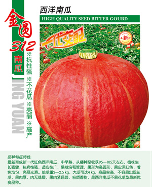 金圆312