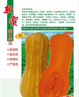 新蜜【蜜本南瓜】