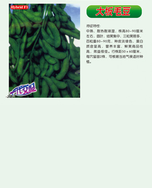 大坂毛豆