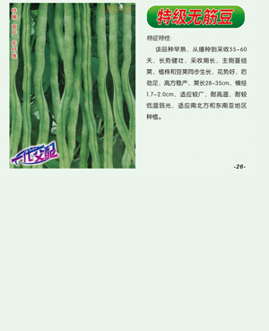 特级无筋豆